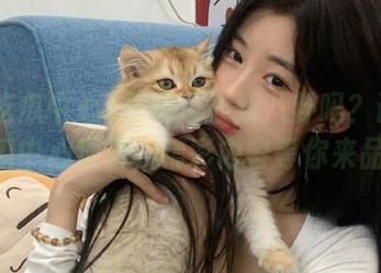 想知道最新八卦吗？请到51吃瓜中心观看，精彩内容等你来品味！