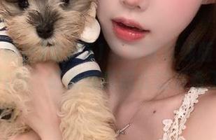 走进51黑料社在线版：畅享最新八卦，成为吃瓜群众的必备工具！