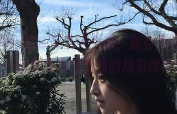 吃瓜网更新来袭，邀你免费吃瓜，一起探索动漫游戏的精彩瞬间！