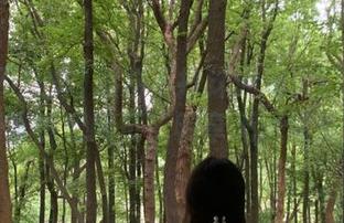 黑料不打烊通道入口：轻松找到首页和网页，畅享无尽娱乐八卦